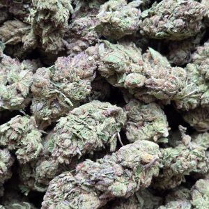 Grease Monkey 14g - Greenhouse