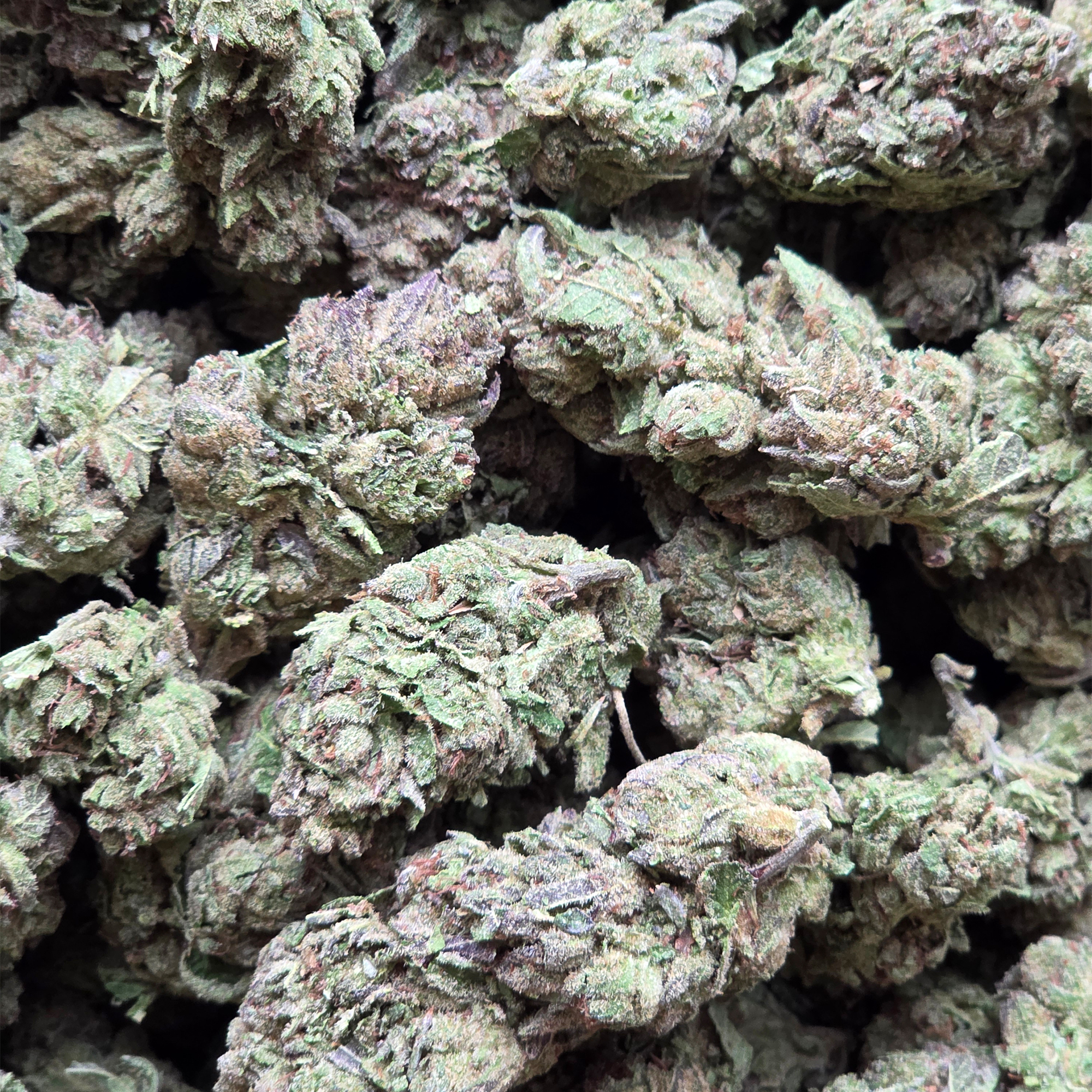 Grease Monkey 14g - Greenhouse