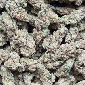 Future Haze 14g - Indoor