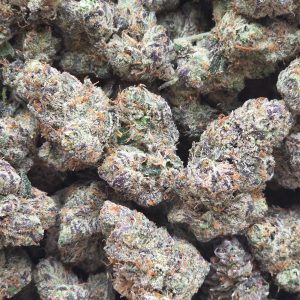 Lemon Cherry Gelato 14g - Top Shelf Indoor