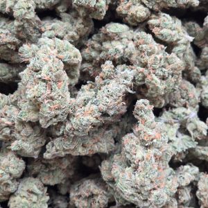 Super Silver Haze 14g - Top Shelf Indoor