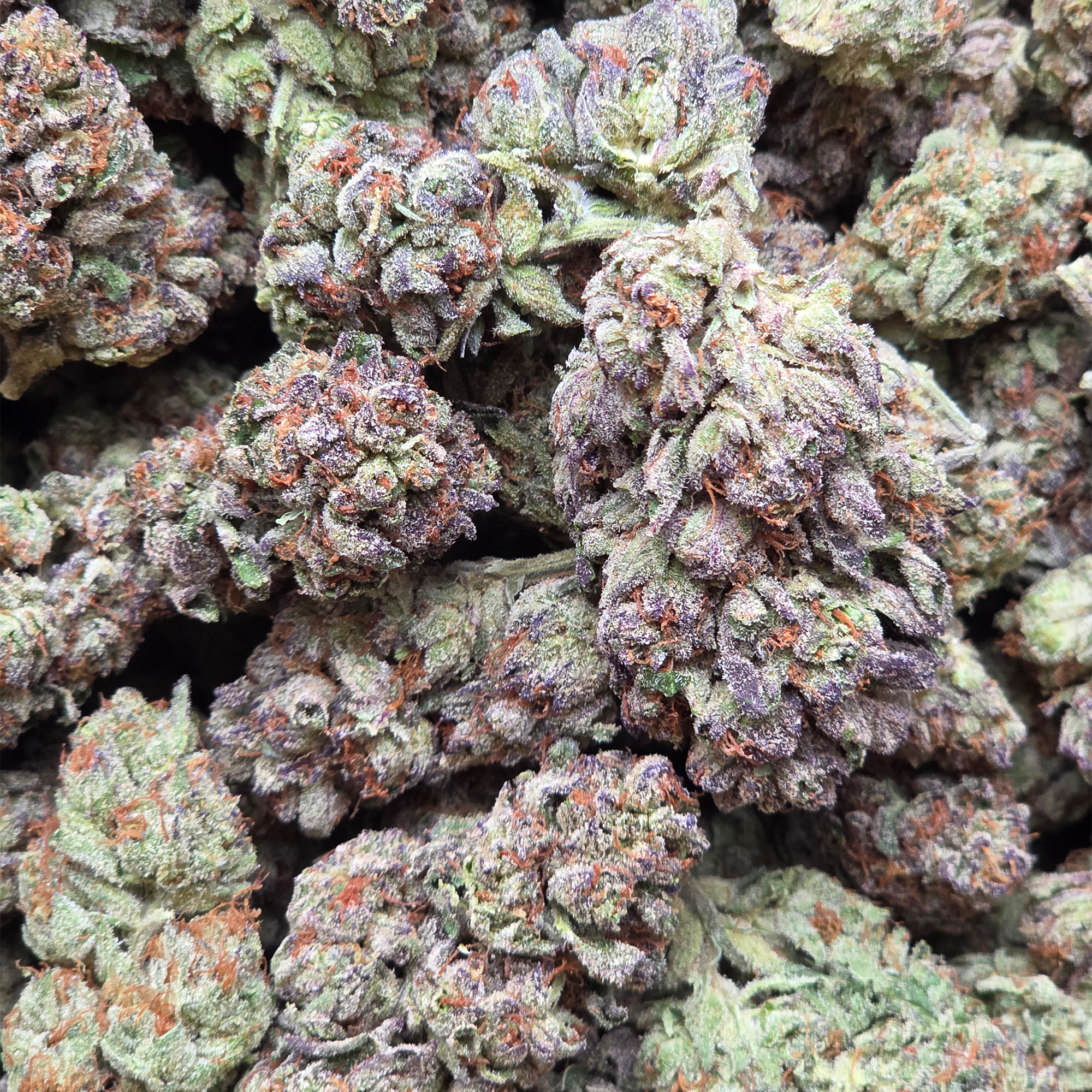 Sherblato 14g - Greenhouse