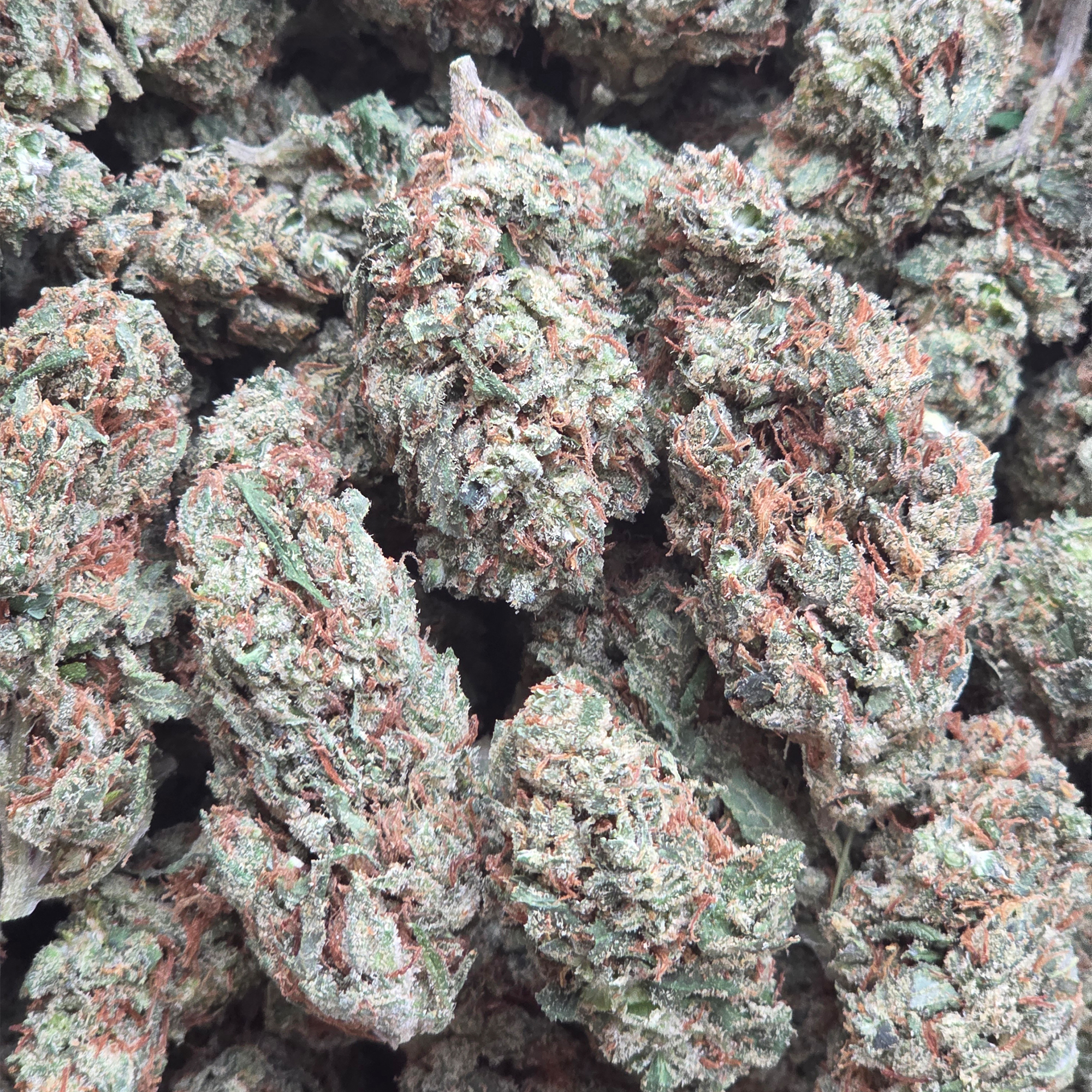 Trainwreck 14g - Indoor