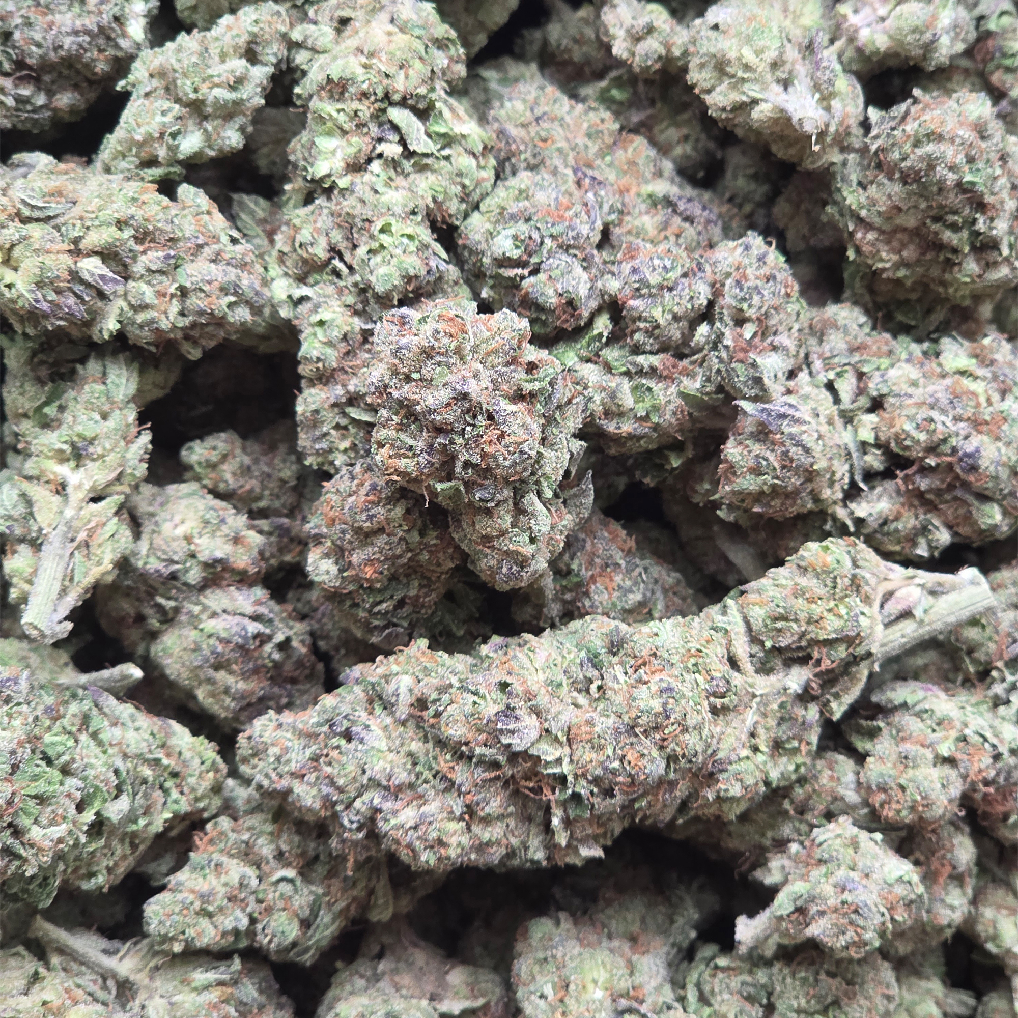 White Runtz 14g - Greenhouse