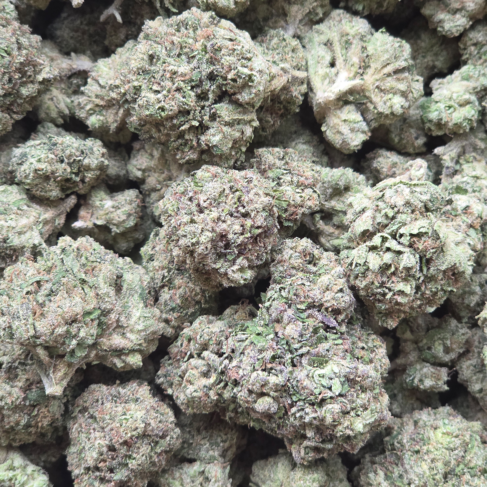 Blueberry 14g - Light Deprivation
