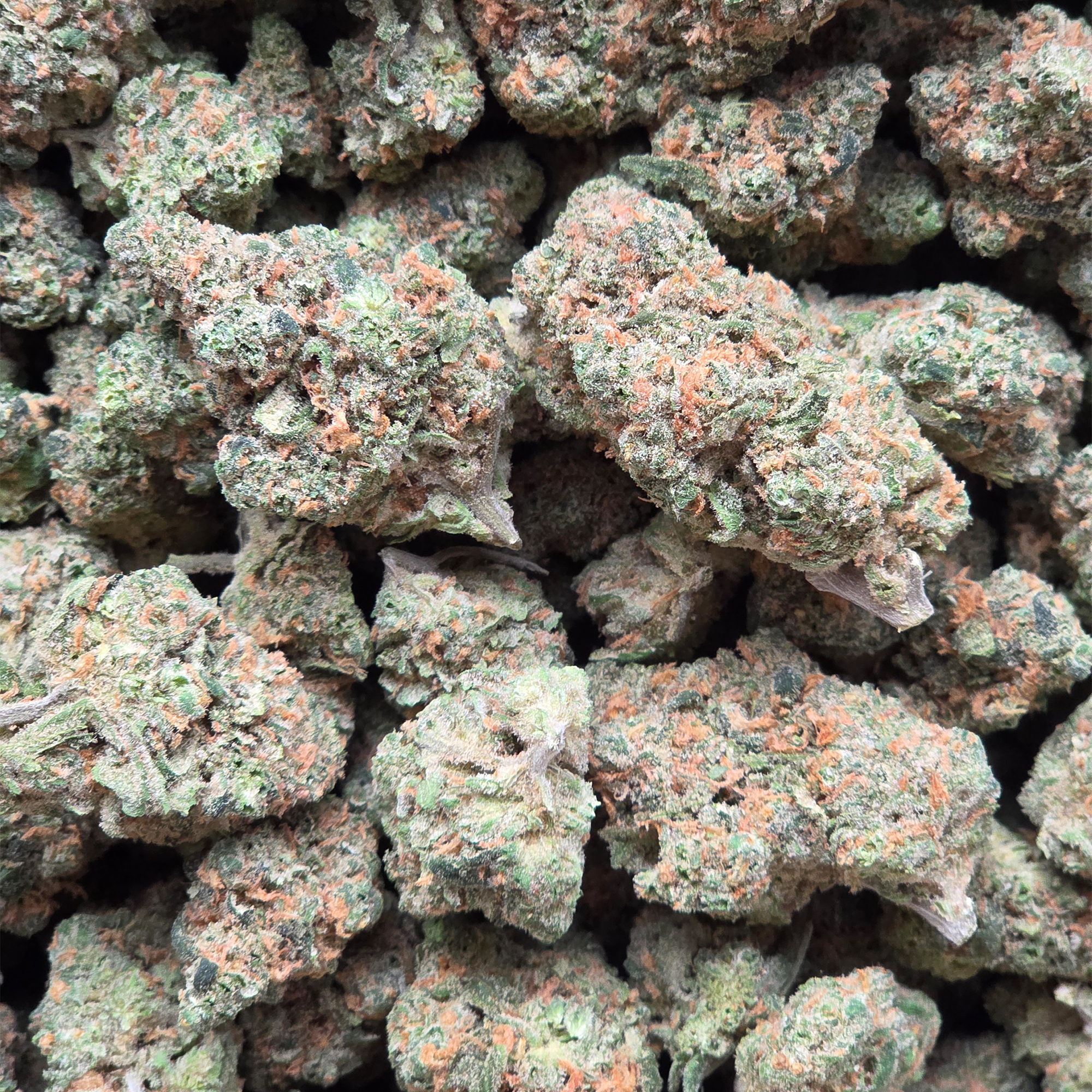 Blue Dream 14g - Indoor