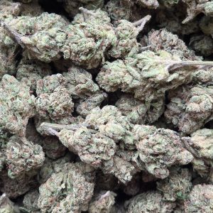 Garlic Drip 14g - Light Deprivation