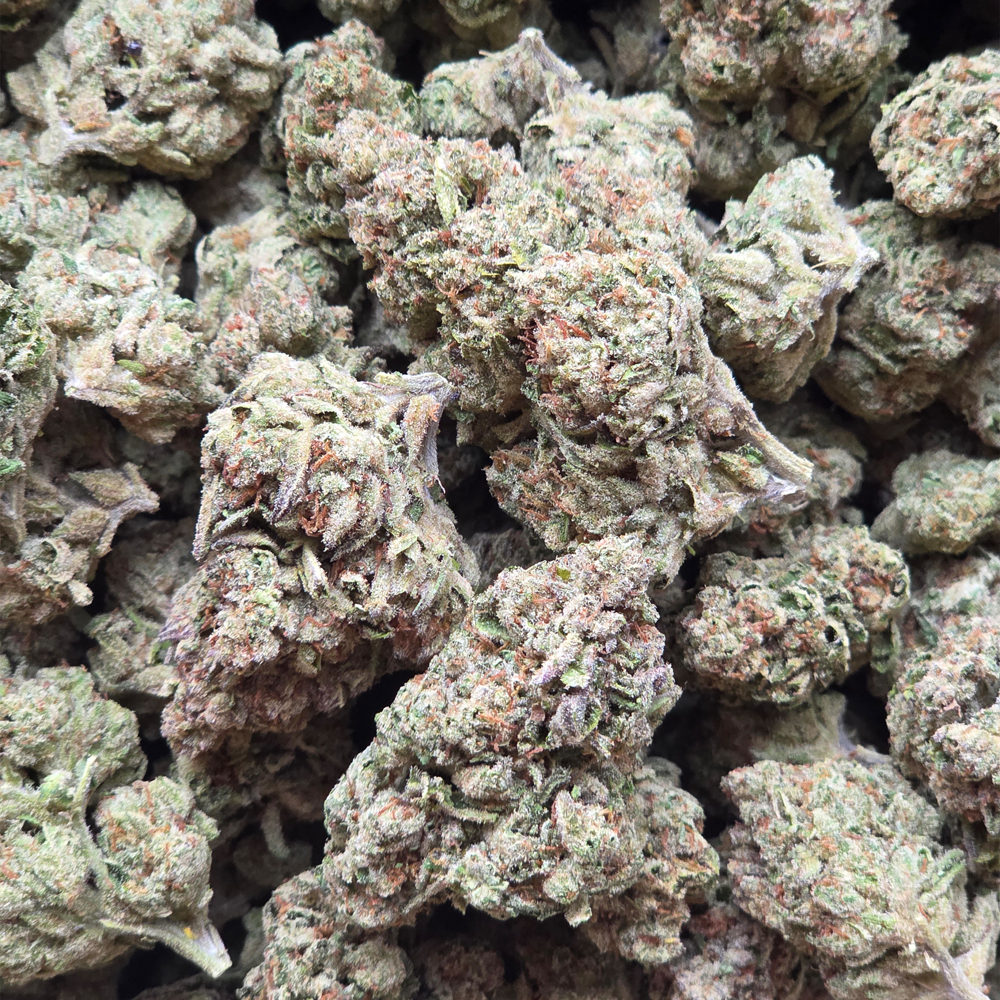 Lemon Zkittlez 14g - Light Deprivation