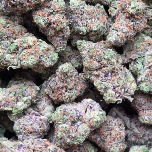 Peanut Butter Jelly 14g - Indoor