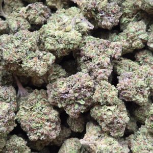Rainbow Belts 14g - Light Deprivation