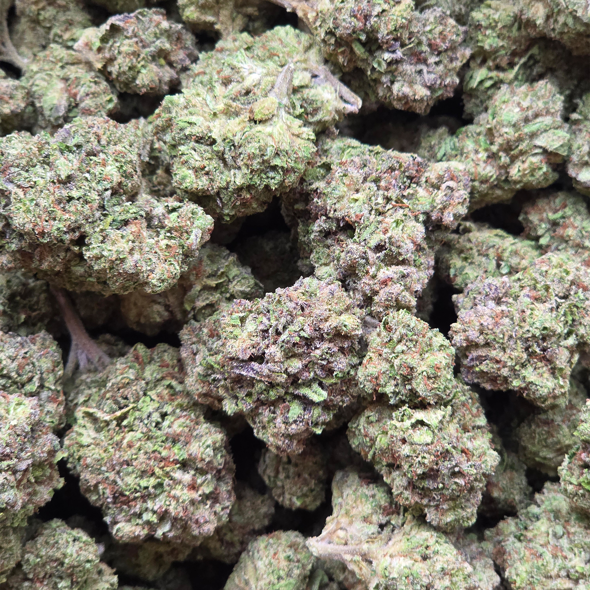 Rainbow Belts 14g - Light Deprivation