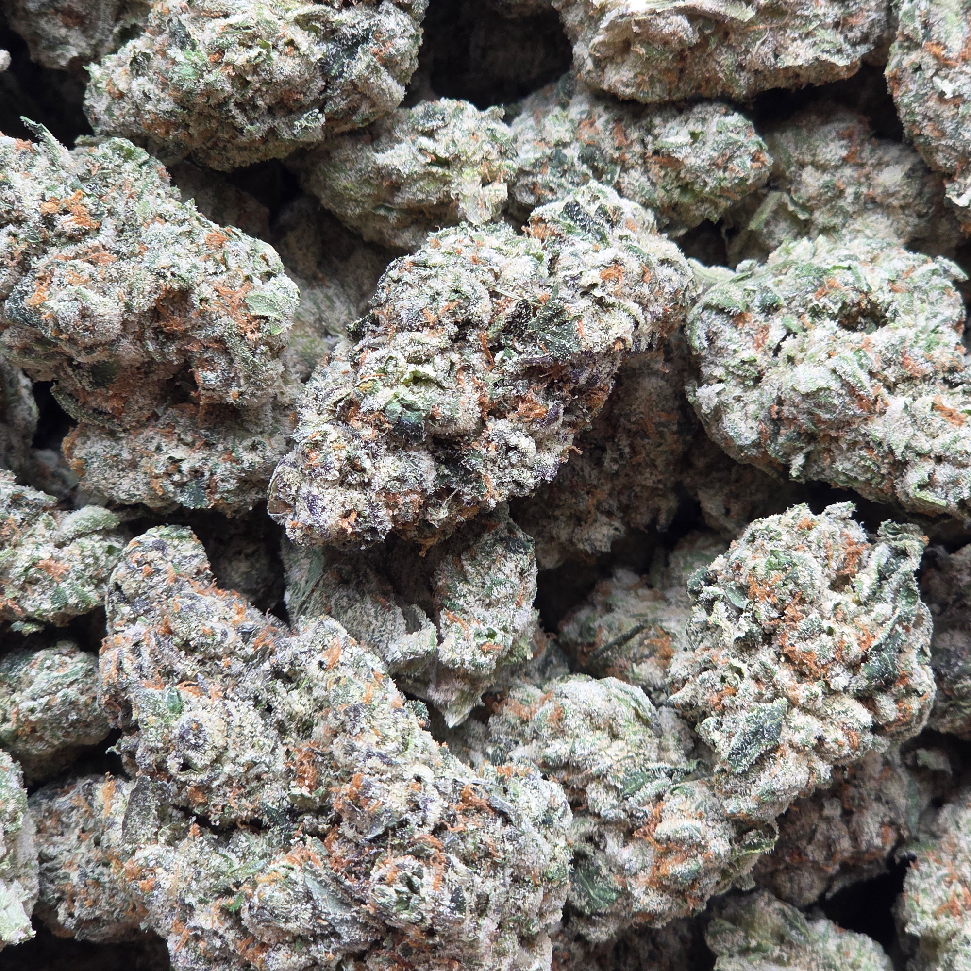 Jet Fuel 14g - Top shelf Indoor
