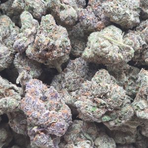 Mochi Gelato 14g - Top Shelf Indoor