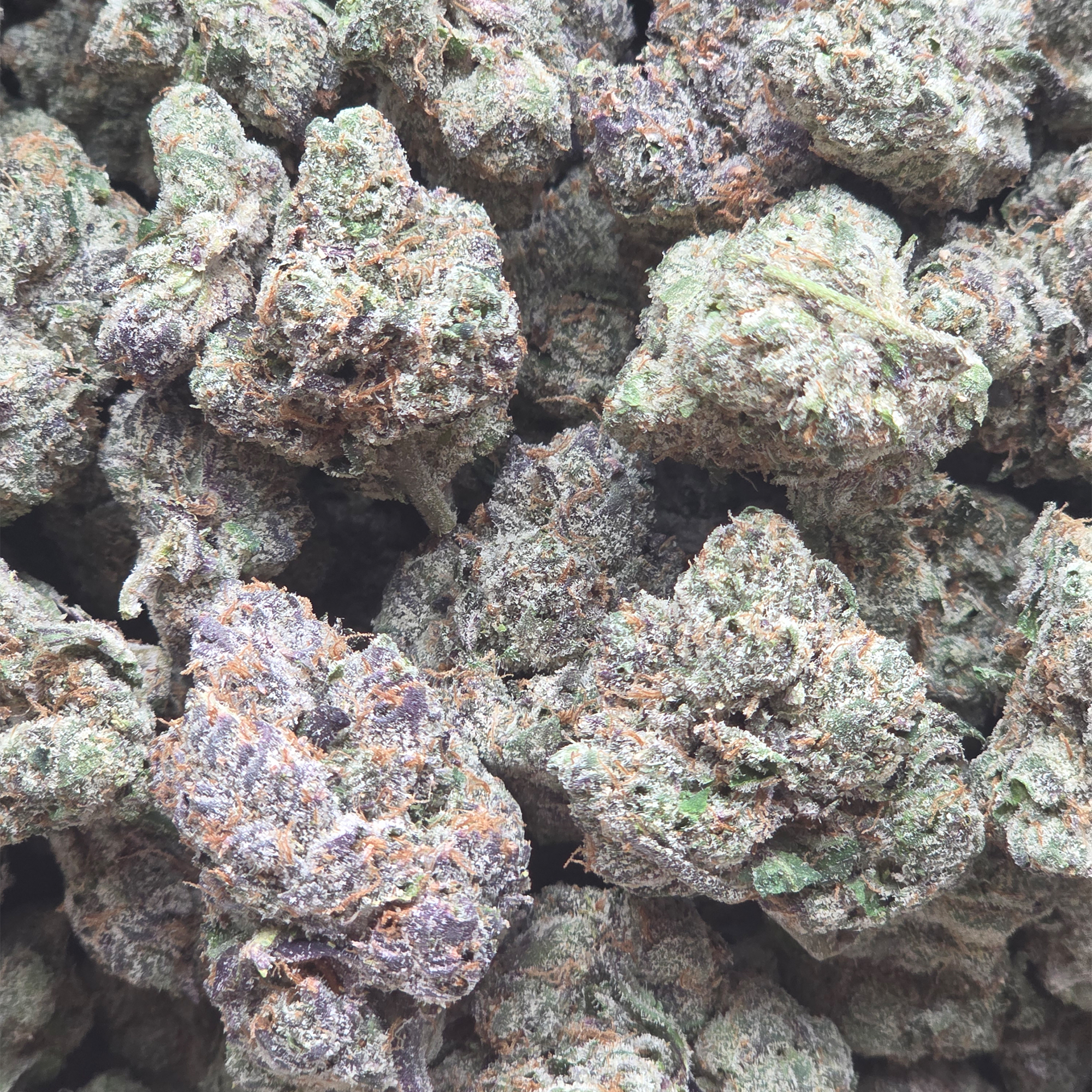 Mochi Gelato 14g - Top Shelf Indoor