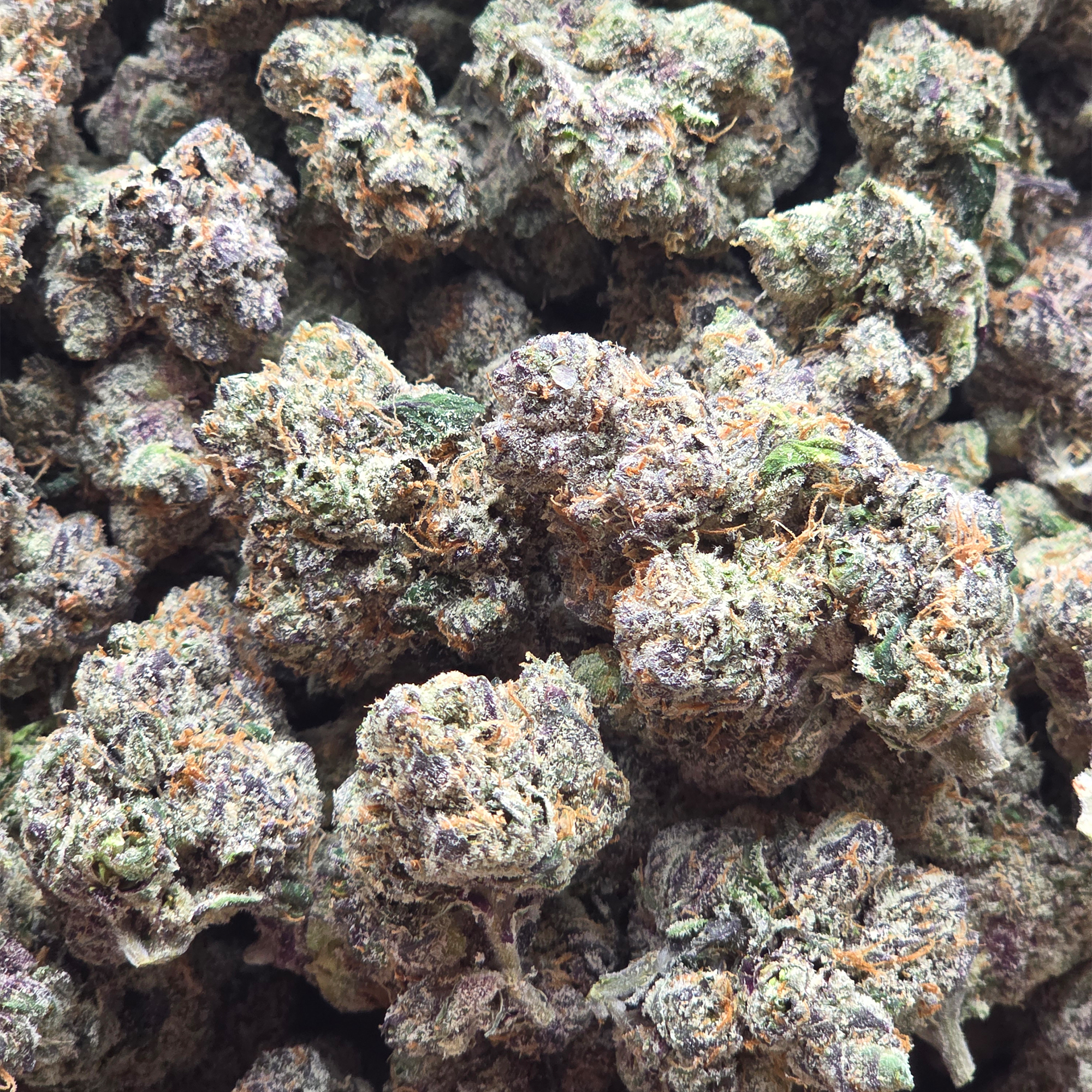 Super Runtz 14g - Top Shelf Indoor