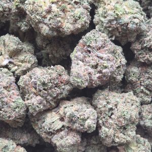 Toad Venom 14g - Top Shelf Indoor