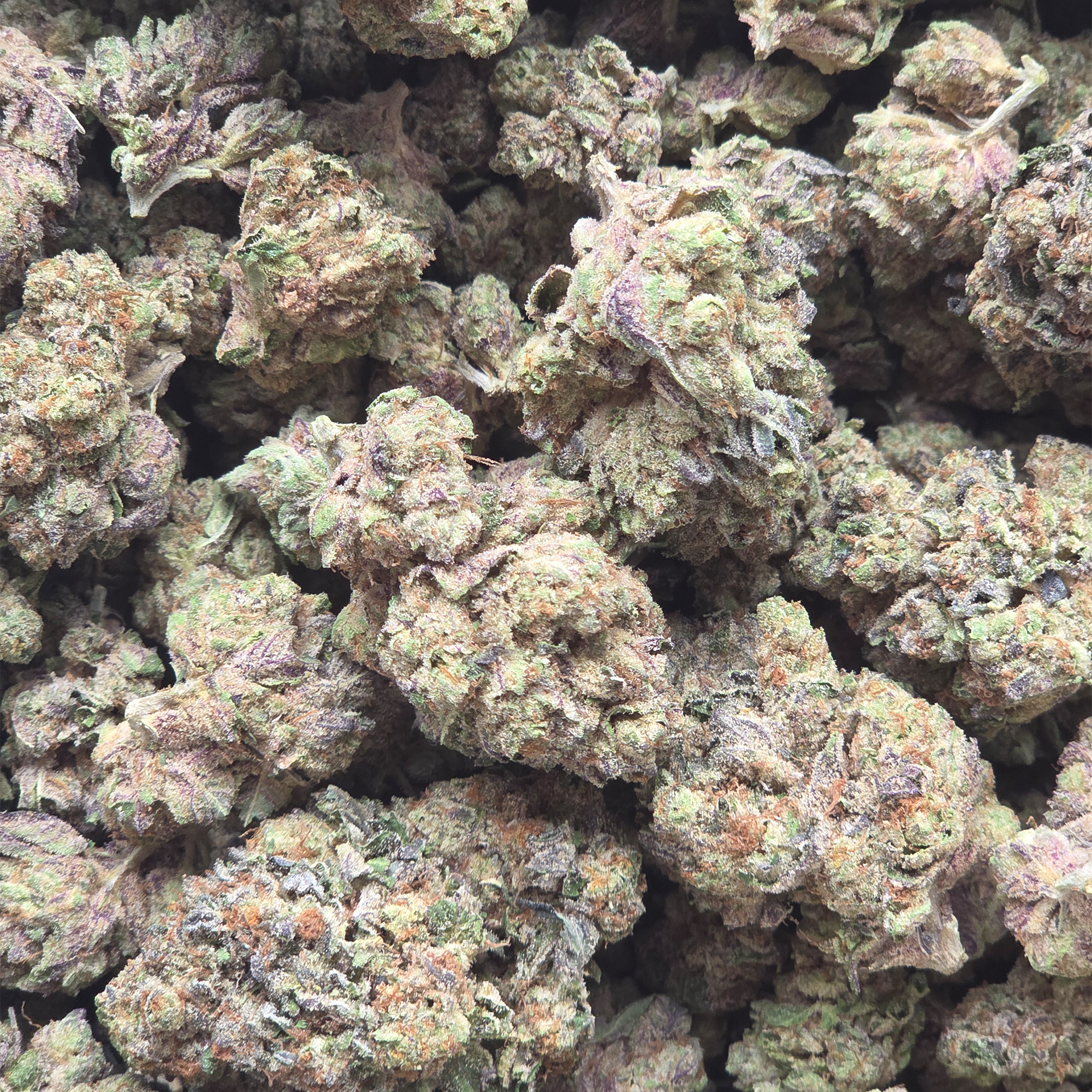 E-85 14g - Greenhouse