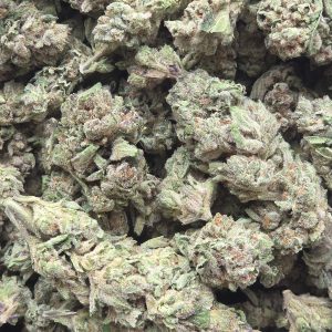 Miracle Runtz 14g - Light Deprivation