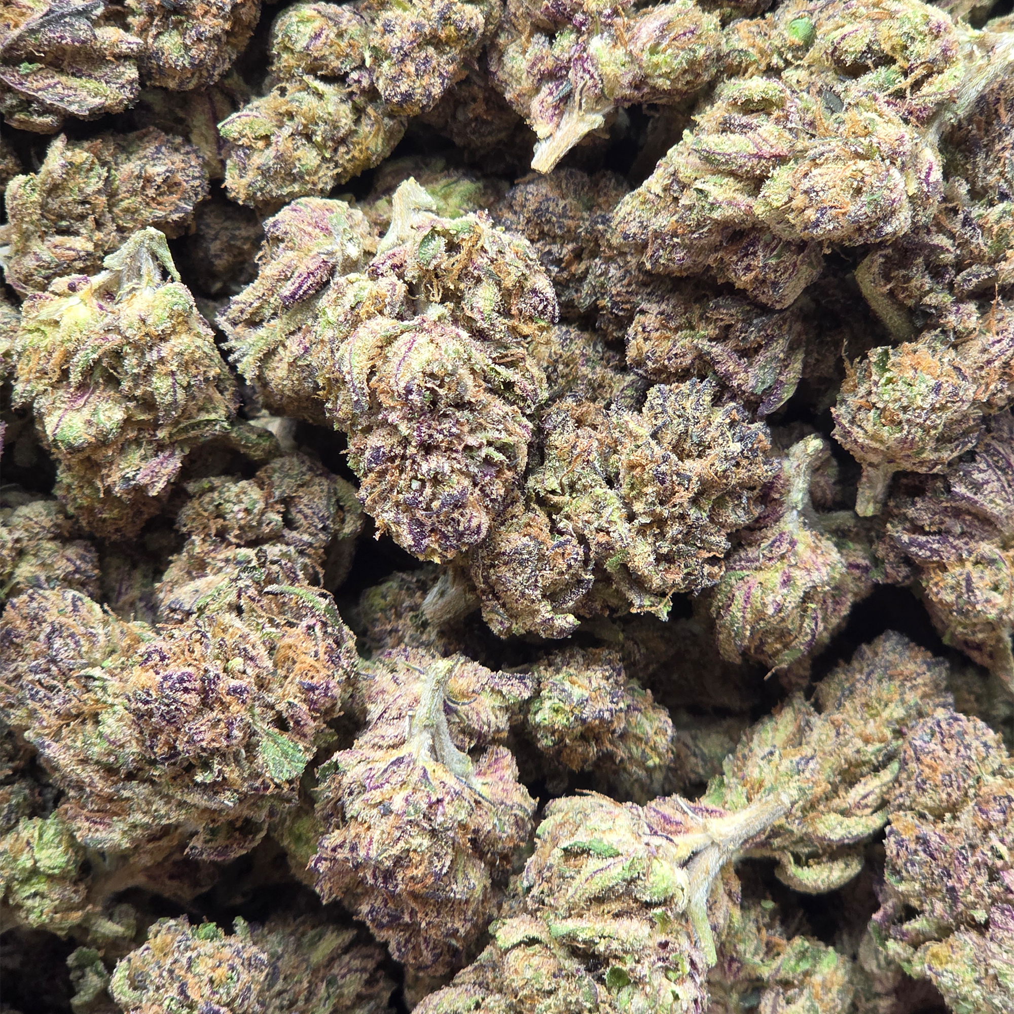 Pink Taffy 14g - Greenhouse